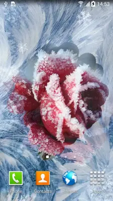 Frozen Flowers Live Wallpaper android App screenshot 4