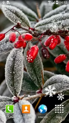 Frozen Flowers Live Wallpaper android App screenshot 5