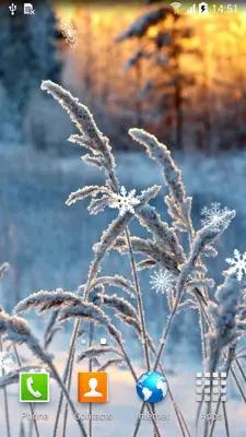 Frozen Flowers Live Wallpaper android App screenshot 6